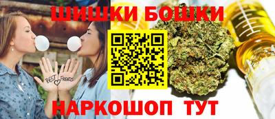 крисы Будённовск