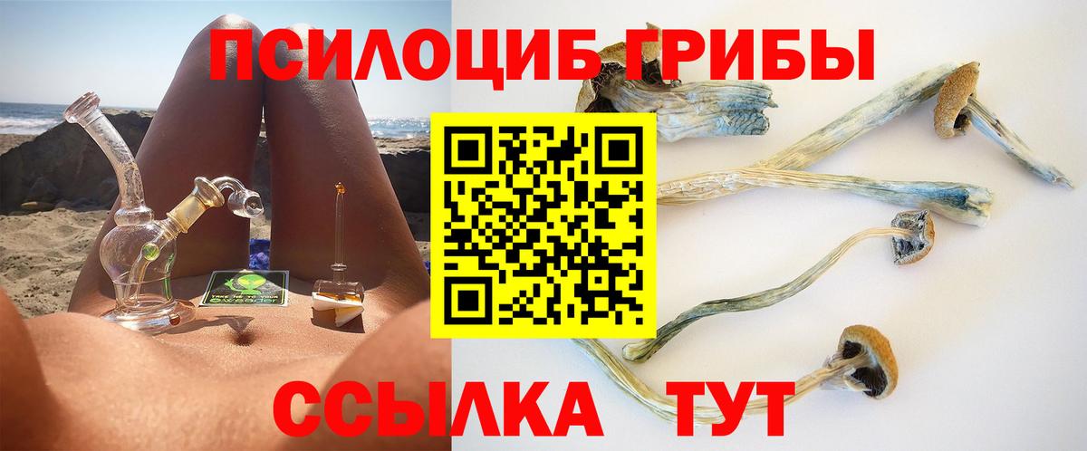 Псилоцибиновые грибы Cubensis Нефтекамск